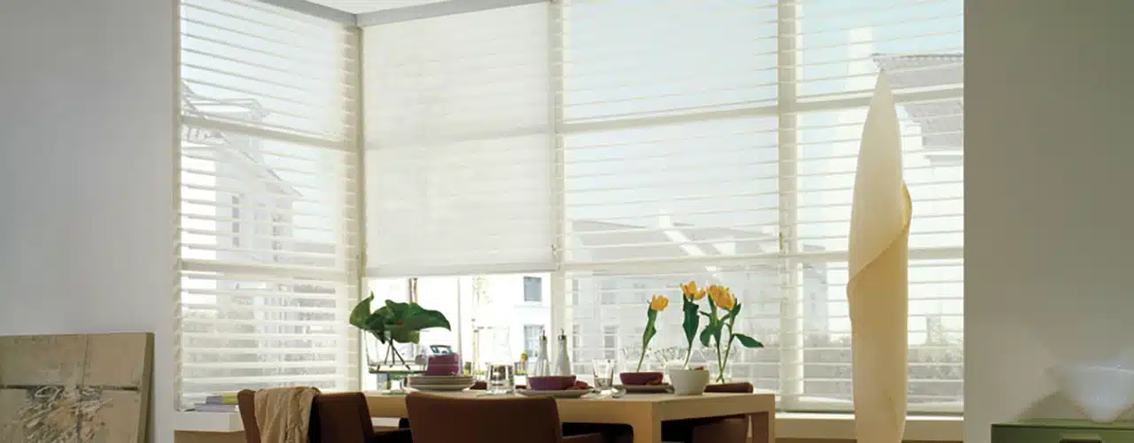 cortinas-silhouette2